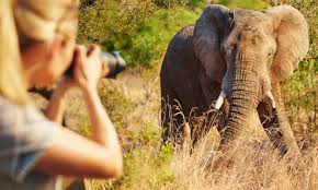 Arusha sightseeing tours 